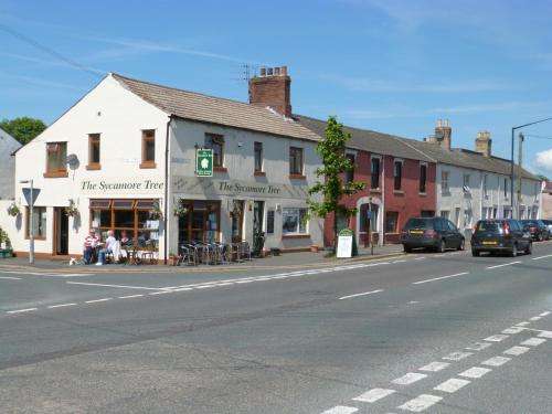 www.thesycamoretreelongtown.co.uk