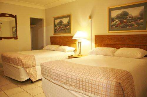 www.tulipmotel.com