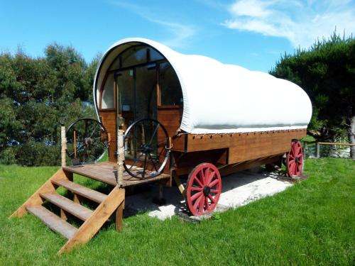 www.wackystays.co.nz