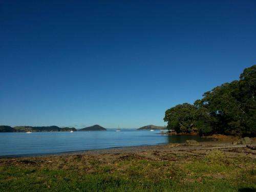 www.oamarubaytouristpark.co.nz