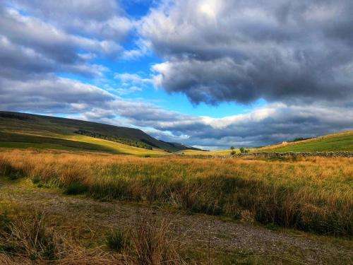 www.thegarsdale.com