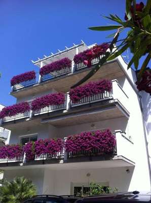 www.residenceola.com