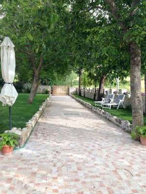www.capricciodigiove.com