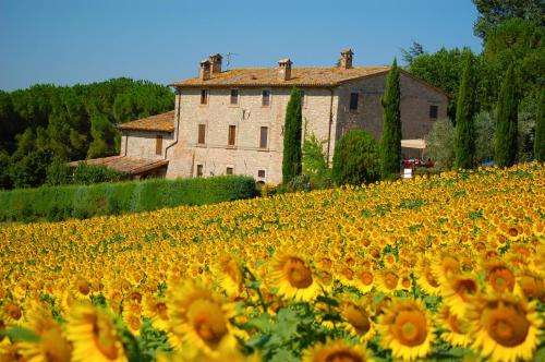 www.casaledeifrontini.it