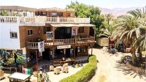 www.divedahab.com