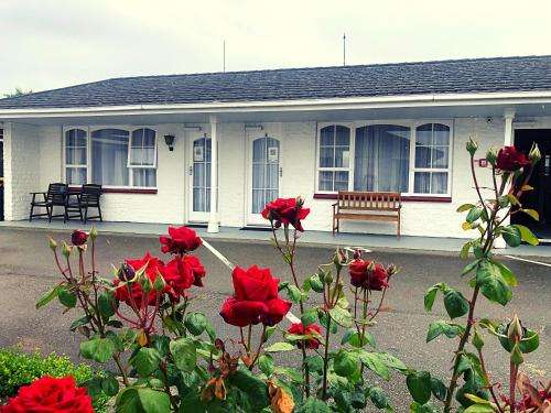 www.surreycourt.co.nz
