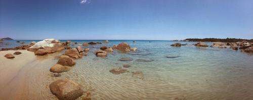 www.residence-verde-mare.com.es