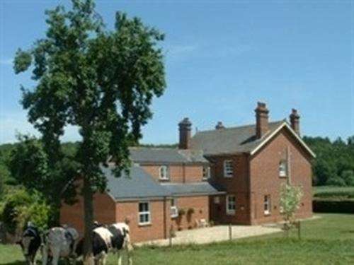www.millfarmstay.co.uk