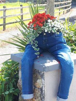 www.irishfarmhouseholiday.com