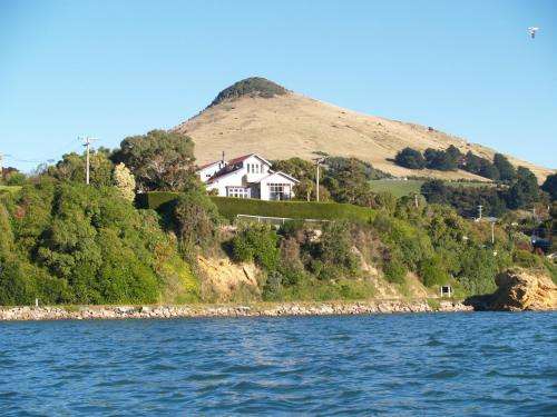 www.capteady.co.nz