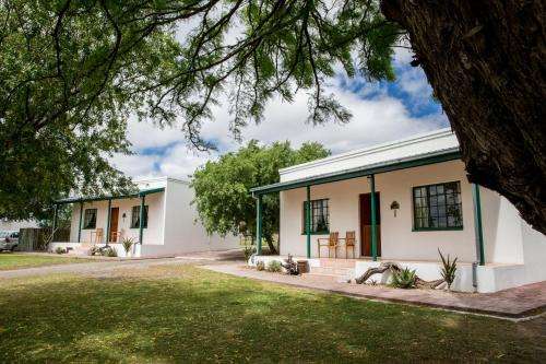www.olivegrove.co.za