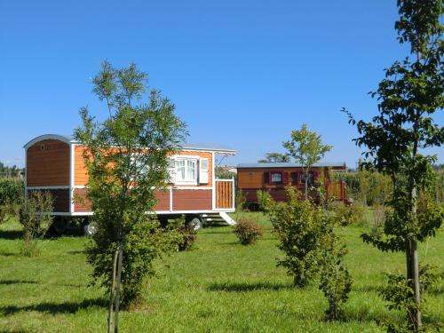 www.ferme-autruche.com