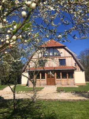 www.zielonylasek.pl