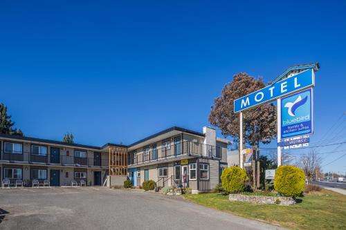 www.thebluebirdmotel.com