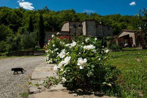 www.agripozzo.it