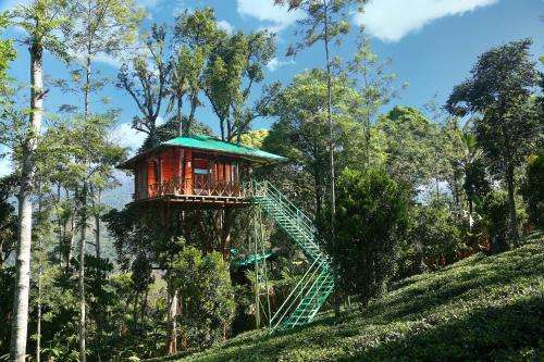 www.dreamcatchermunnar.com