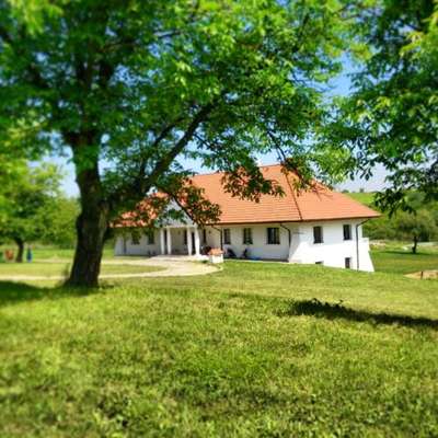 www.gosciniechusarski.pl