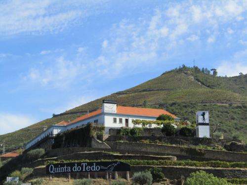 www.quintadotedo.com