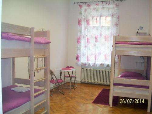 www.chameleon-hostel.com