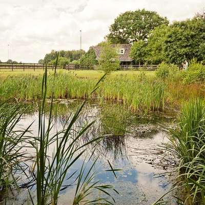 www.landrop.nl