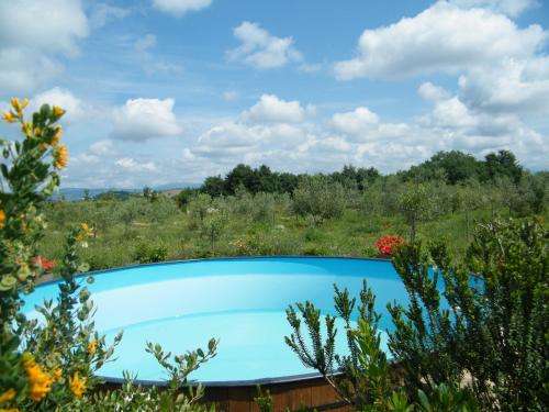 www.santantoniodisaturnia.com