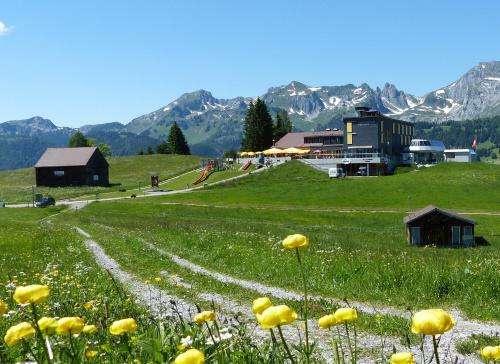 www.wildhaus.ch