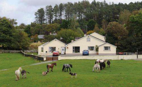 www.muckross-stables.com