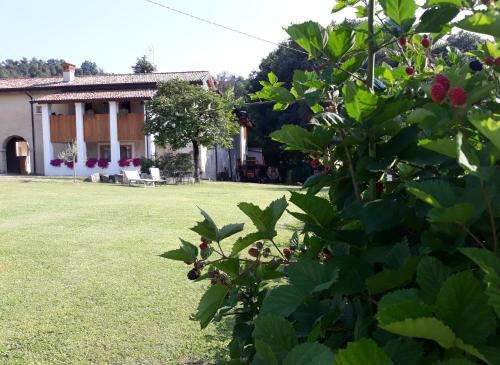 www.agriturismolascala.com