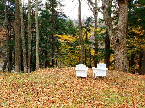 www.blackbearlodgecatskills.com