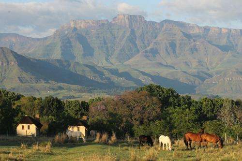 www.ardmore.co.za