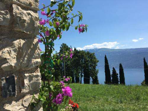 www.casadelcastagneto.com