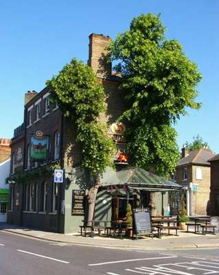 www.redcowpub.com