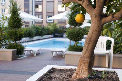 www.apartamentos-jb.com