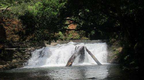 www.waterfallhostel.com