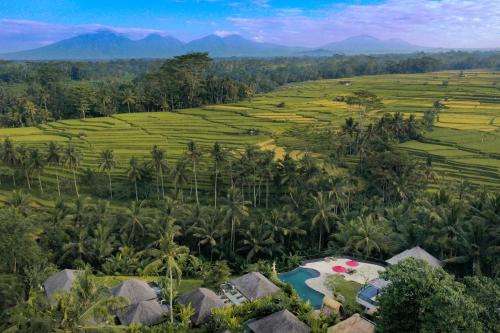 www.purisebaliresort.com
