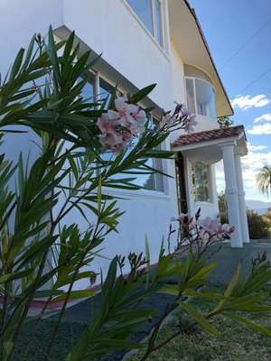 www.springhillstababelahotel.com