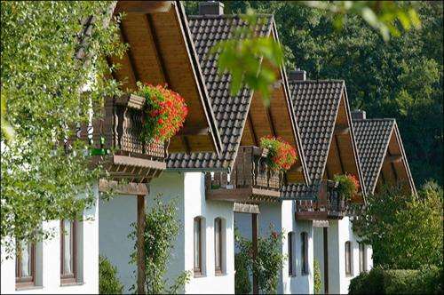 www.ferienpark-rursee.de