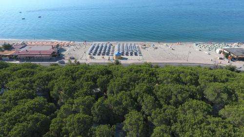 www.campinglungomare.com