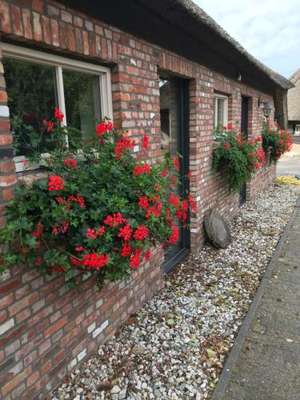 www.boerensuite.nl
