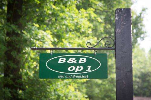 www.bedandbreakfastop1.nl