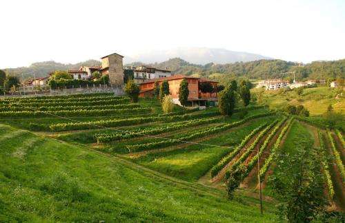 www.agrilbelvedere.it