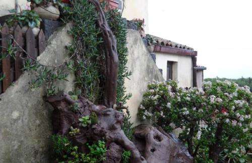 www.ruvitello.it