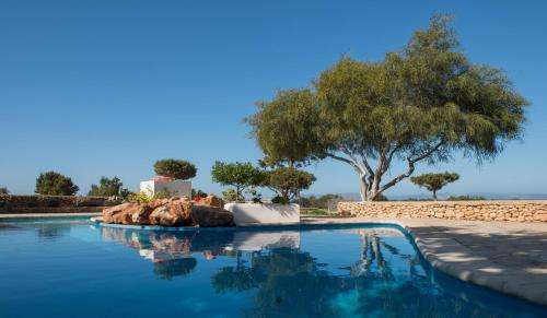 www.apartamentosvistavedra.com