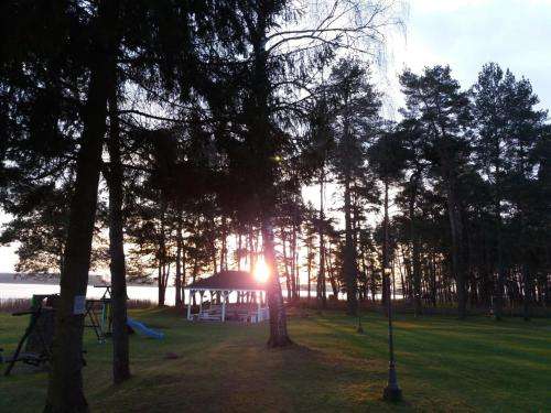 www.bogusze.pl