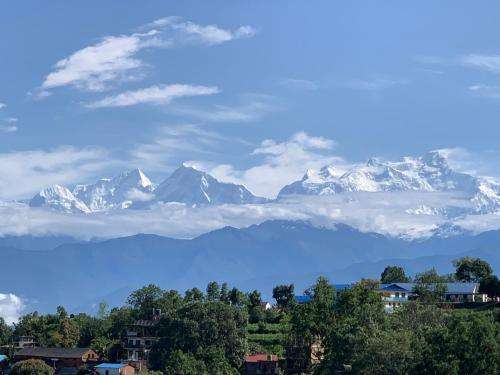 www.samirahomestay.com