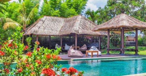 www.bali-surf.com