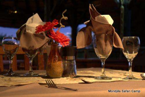www.mondjilasafaricamp.com