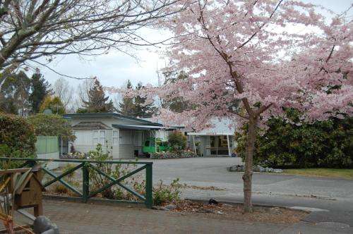 www.tongarirorivermotel.co.nz