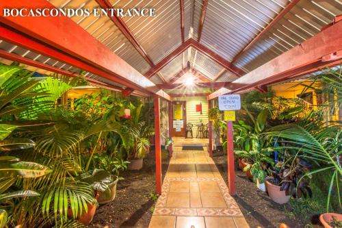 www.bocascondosrentals.com