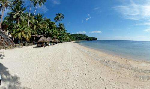 www.sipalay.com
